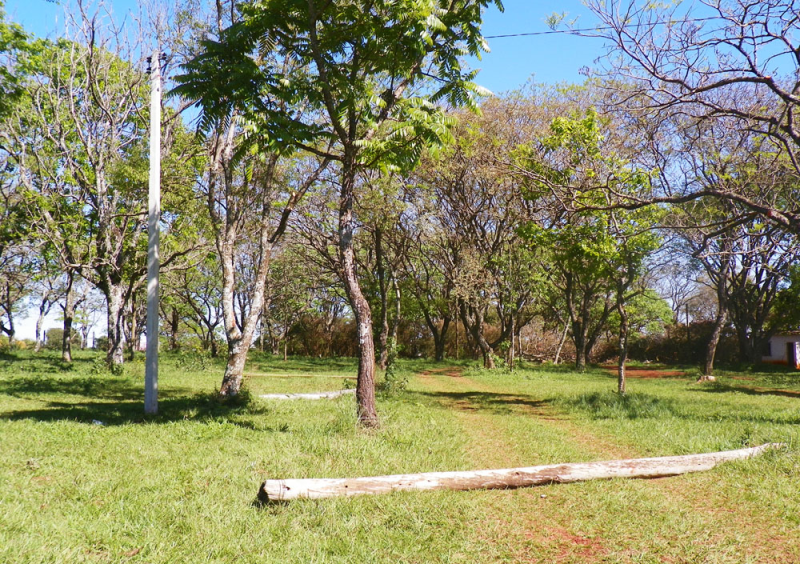 Parque Centenário foi alvo de vandalismo nos últimos dias